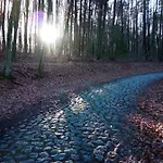 Biale Brzozy Вилла