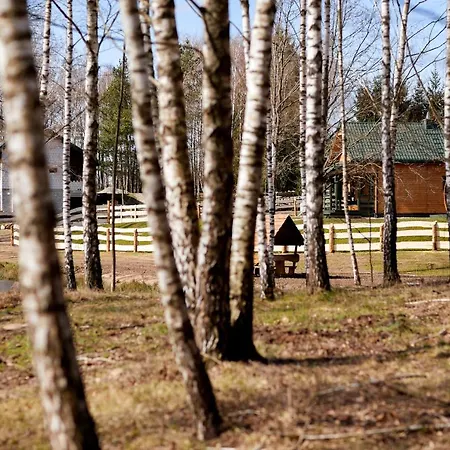 Villa Biale Brzozy *