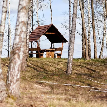 Biale Brzozy 빌라 *