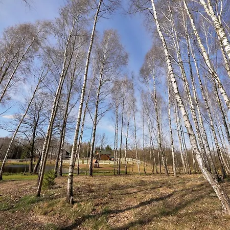 Biale Brzozy Villa Florczaki