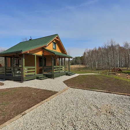 Villa Biale Brzozy *