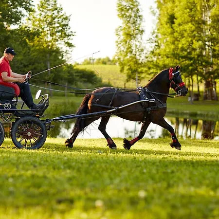 Biale Brzozy Villa *