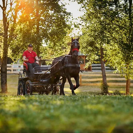 Biale Brzozy * Florczaki