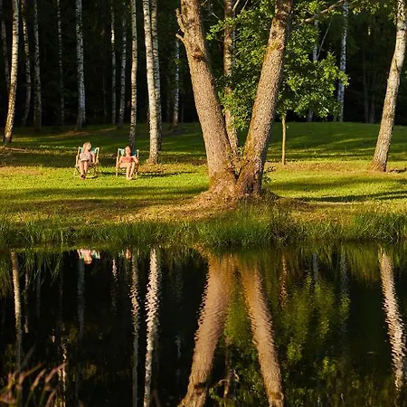 Villa Biale Brzozy *