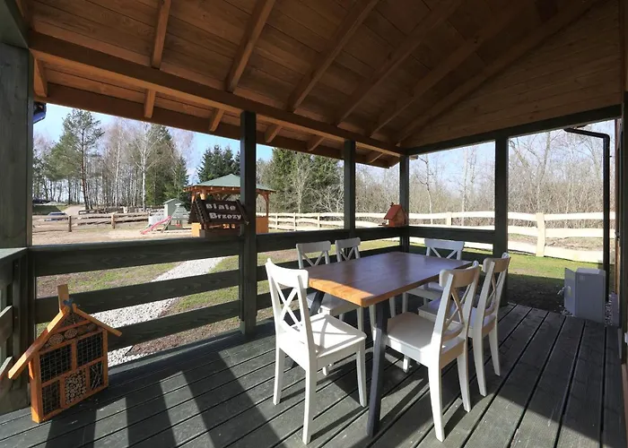 Willa Białe Brzozy *