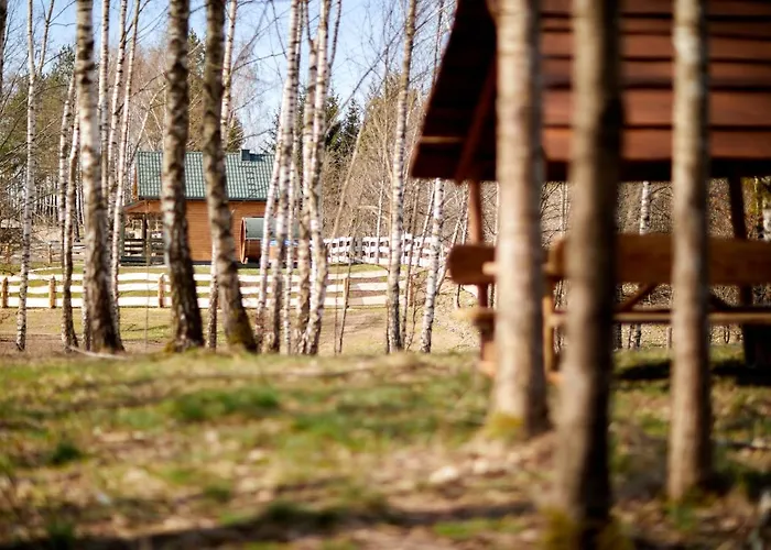 Białe Brzozy * Florczaki