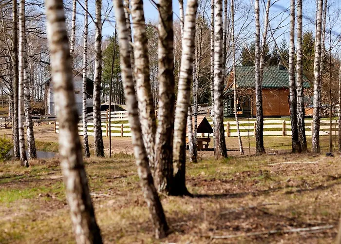 Villa Biale Brzozy *