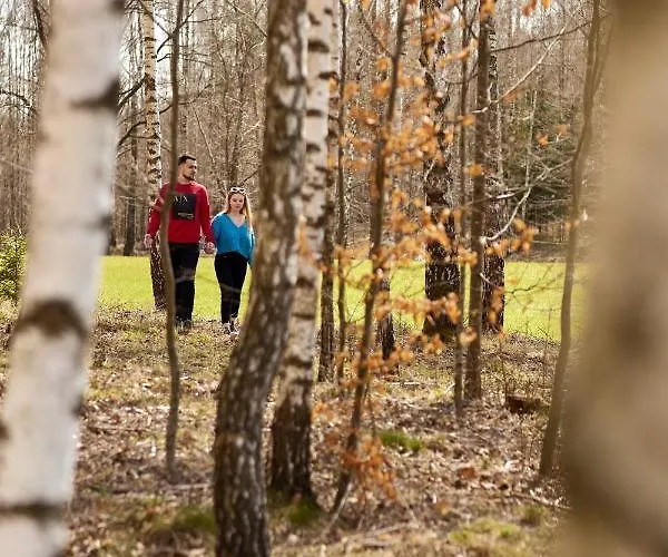 Białe Brzozy Willa *