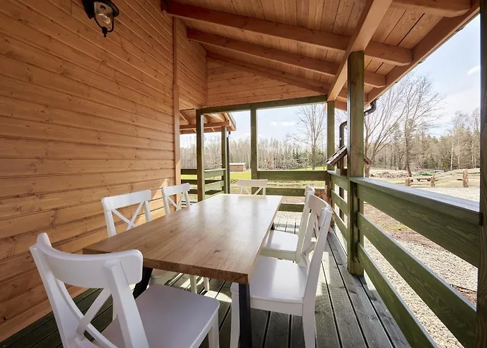 Białe Brzozy Willa *