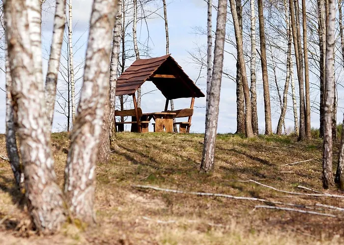 Biale Brzozy Villa *