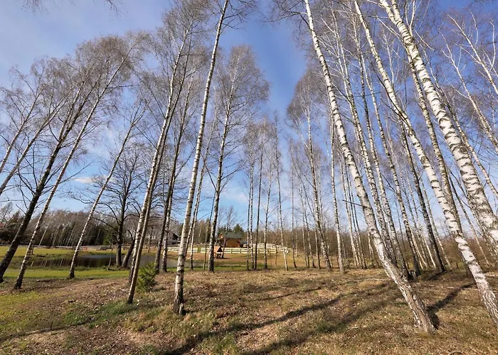 Białe Brzozy Willa Florczaki