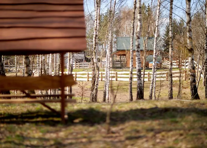 Białe Brzozy * Florczaki