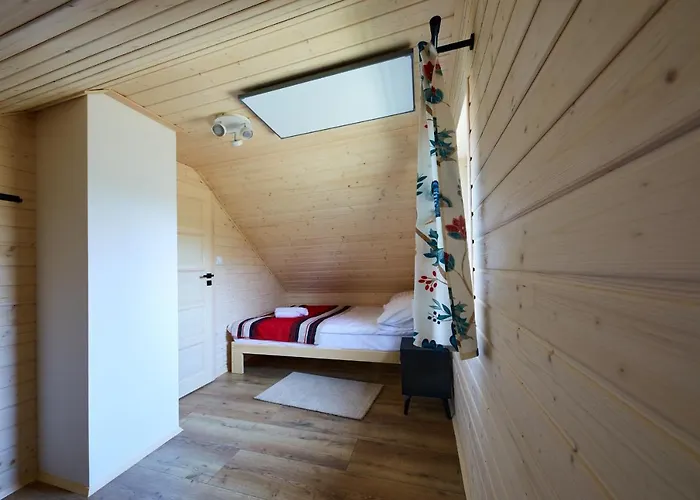 Villa Biale Brzozy *