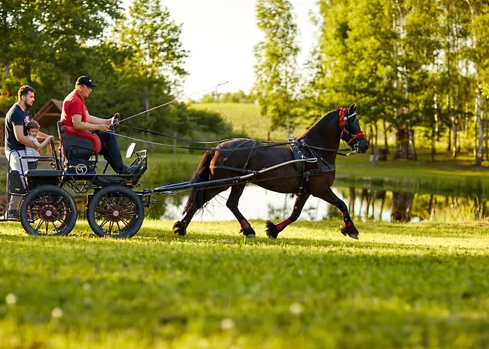 Białe Brzozy Willa *