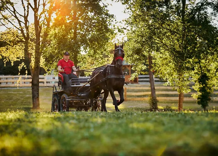 Białe Brzozy * Florczaki